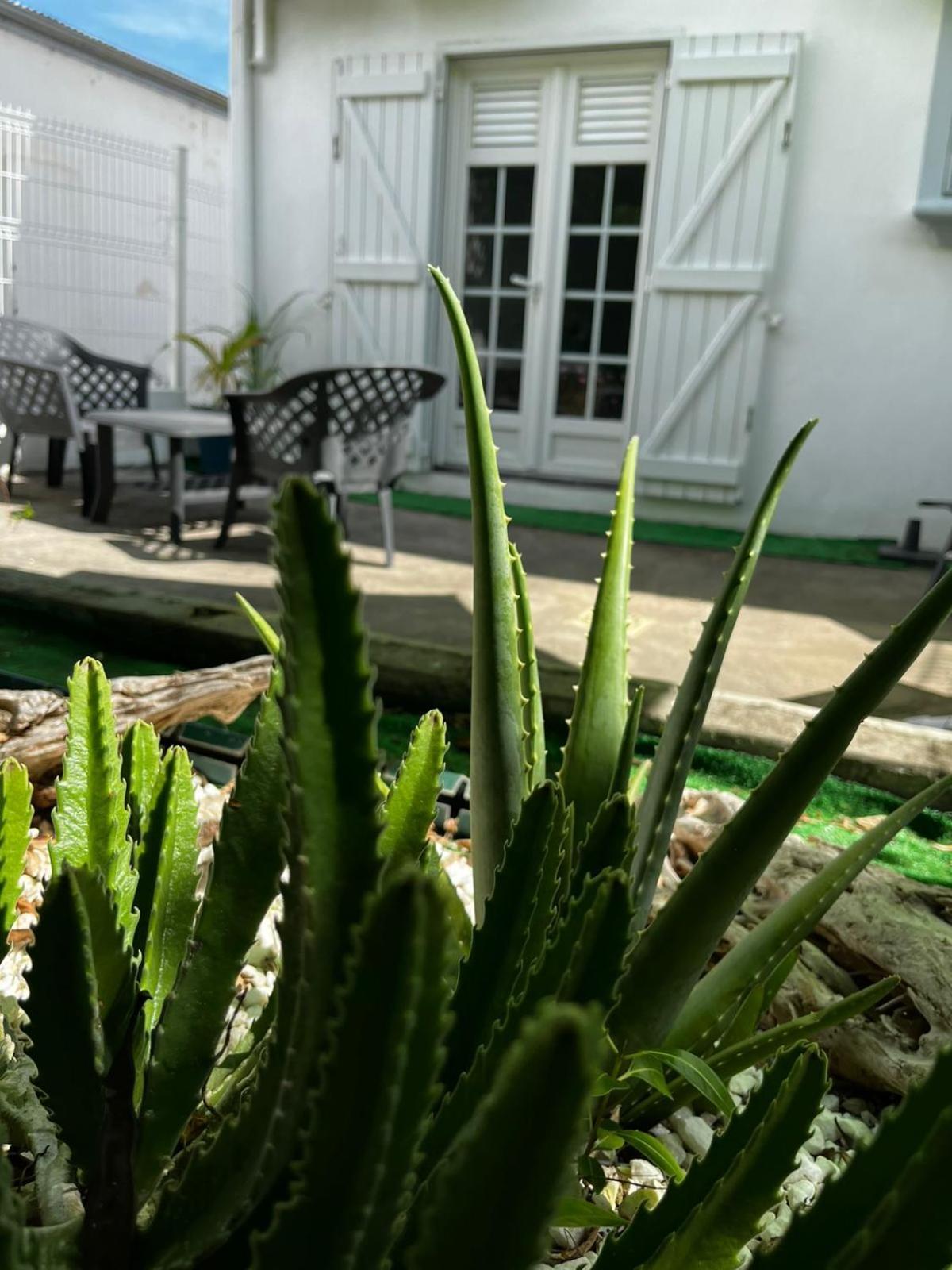 Jasmin - Appartement Face Plage Diamant เลอ ดีอามงต์ ภายนอก รูปภาพ